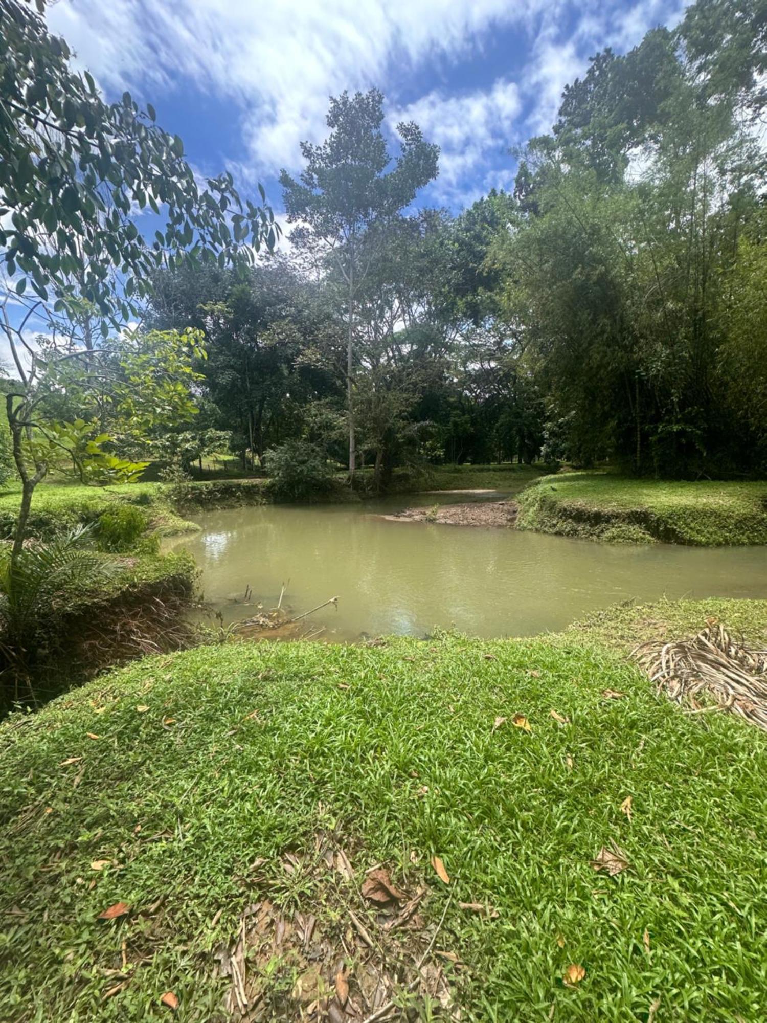 Laura Mountain House Villa Naranjito Esterno foto